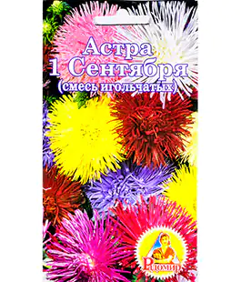 Семена цветов Астра 1Сентября