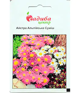 Семена цветов Астра Альпийская смесь