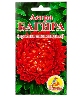 Семена цветов Астра Багира