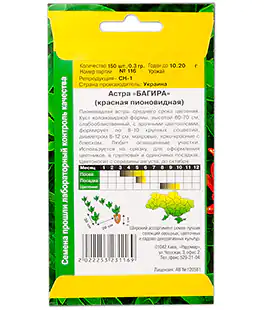 Семена цветов Астра Багира