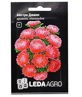 Айстра Дюшес кримсон