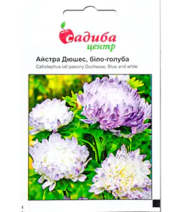 Семена цветов Астра Дюшес бело-голубая