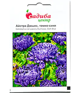 Семена цветов Астра Дюшес темно-синяя