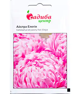 Семена цветов Астра Еллегия
