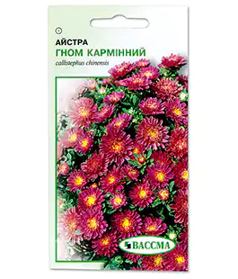 Семена цветов Астра Гном Карминный