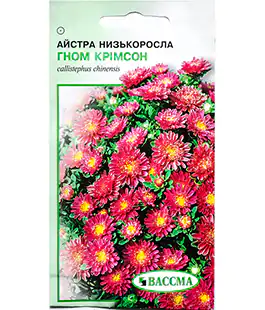 Семена цветов Астра Гном Кримсон Низкорослая