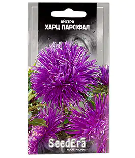 Астра Харц Парсифал