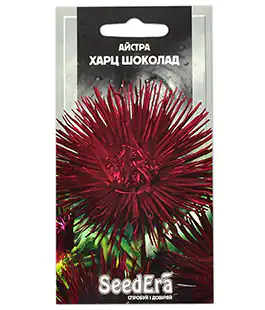 Айстра Харц Шоколад