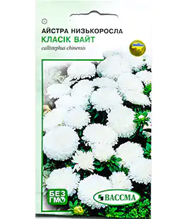 Семена цветов Астра Классик Вайт Низкорослая