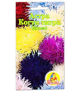 Семена цветов Астра Когти Тигра смесь