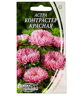 Семена цветов Астра Контрастер Красная