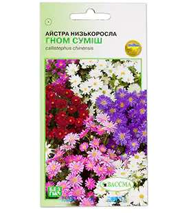 Семена цветов Астра Низкорослая Гном смесь