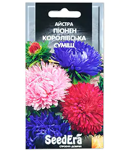Айстра Піонен Королівська суміш