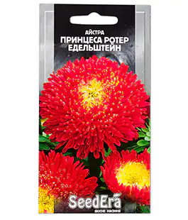 Астра Принцеса Ротер Едельштейн