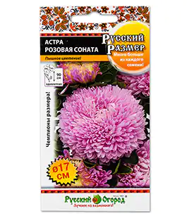 Семена цветов Астра Розовая соната