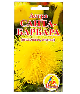 Семена цветов Астра Санта-Барбара