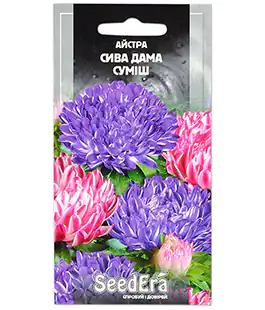 Изображение Астра Седая Дама смесь
