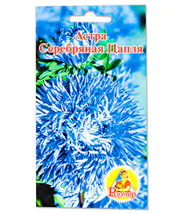 Семена цветов Астра Серебряная Цапля