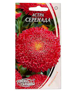 Семена цветов Астра Серенада