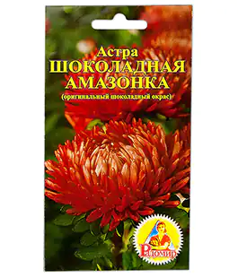 Семена цветов Астра Шоколадная Амазонка