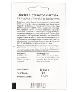 Астра Си Старлет Фиолетова