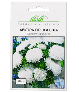 Айстра Сірінга Біла
