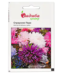 Семена цветов Астра Страусиное перо