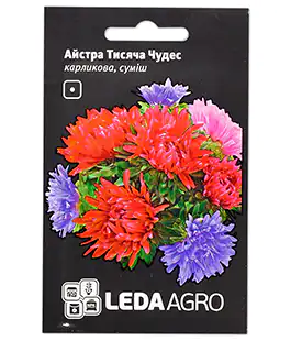 Семена цветов Астра Тысяча Чудес