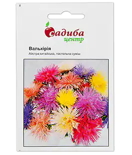 Семена цветов Астра Валькирия