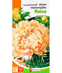 Семена цветов Астра Янина