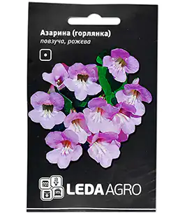Семена цветов Азарина(горлянка) розовая