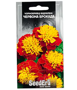 Бархатцы Красная Брокада отклоненные