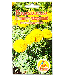Семена цветов Бархатцы Лилипут махровые