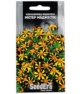 Бархатцы Мистер Маджестик отклоненные