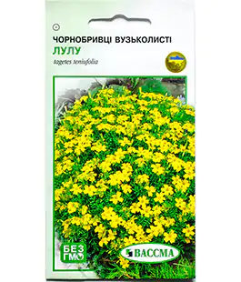Семена цветов Бархатцы Узколистые Лулу