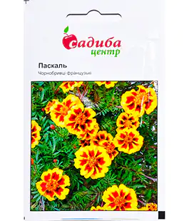 Семена цветов Бархатцы французские Паскаль