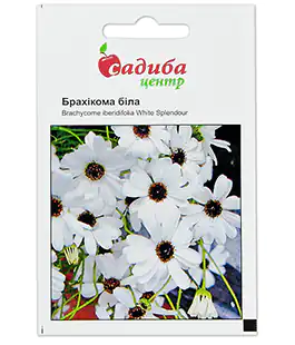 Семена цветов Брахикома белая