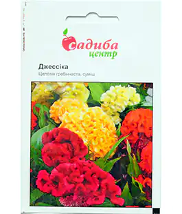 Изображение Семена цветов Целозия гребенчатая Джессика