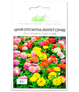 Изображение Цинія Елегантна Ліліпут