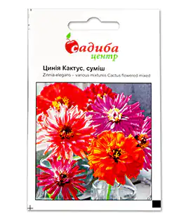 Изображение Семена цветов Циния Кактус смесь