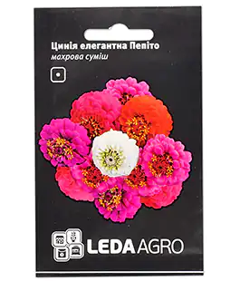Изображение Семена цветов Циния Пепито