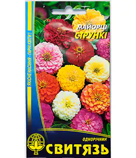 Изображение Семена цветов Циния Струнка