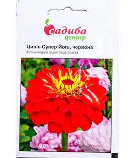 Цинія Супер Йога