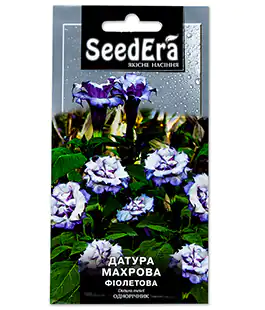 Семена цветов Датура махровая фиолетовая