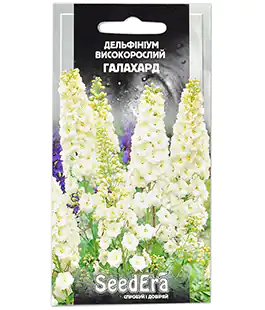 Дельфиниум Галахад