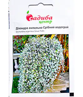 Семена цветов Дихондра Серебряный водопад
