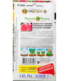 Семена цветов Душистый горошек малиново-красный