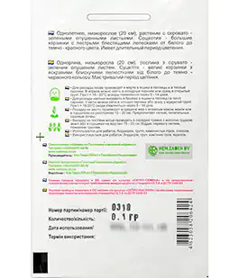 Семена цветов Газания блестящая