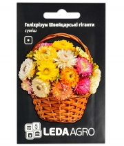 Изображение товара Семена цветов Гелихризум Швецарский Гигант смесь