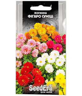 Семена цветов Георгина Фигаро смесь